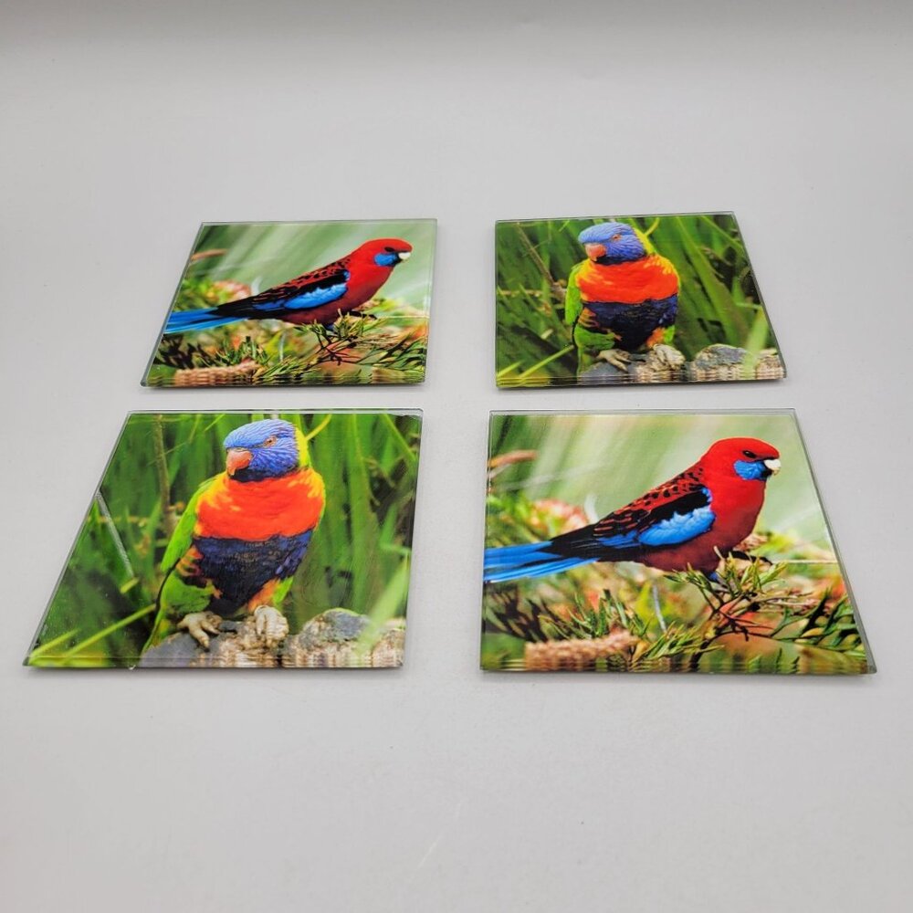 Australian Birds Glass Coasters Colorful Bird Print 4 Inch Get Posh